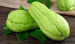 哏瓜怎么吃6,解锁6种独特吃法，尽享美味时光