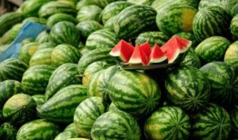 快手吃瓜网红吃瓜群视频,揭秘吃瓜背后的故事