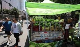 吃瓜群众卖什么,揭秘他们的“瓜”与“卖瓜”之道