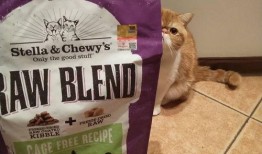 sc猫粮吃瓜,吃瓜群众眼中的品质与口碑