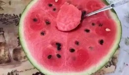 梦见和朋友叼着吃瓜,与好友共享瓜果时光