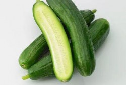 袖珍小乳瓜怎么吃,袖珍小乳瓜的多彩食法探索