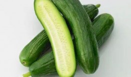 袖珍小乳瓜怎么吃,袖珍小乳瓜的多彩食法探索