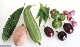 中山医院吃瓜,揭秘背后的真相与反思