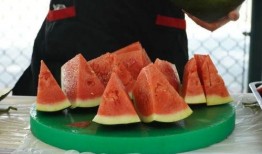 宁职吃瓜,揭秘“吃瓜”背后的故事