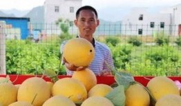 金某某吃瓜,揭秘娱乐圈背后的真相