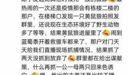 儿歌有瓜有果吃瓜的歌词,儿歌有瓜有果吃瓜的欢乐旋律与生活哲理
