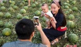 瓜田图片吃瓜,共享甜蜜时光