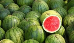 圆的吃瓜勺子,探索创意与美食的完美融合