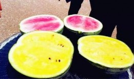 吃瓜爆料吃各种瓜,揭秘娱乐圈那些鲜为人知的幕后故事