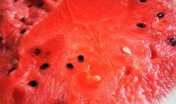 超级吃瓜视频,娱乐圈幕后大揭秘