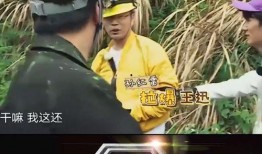 极限挑战吃瓜图片,吃瓜群众视角下的欢乐瞬间