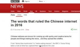 网络吃瓜群众评论,吃瓜群众热议背后的社会现象解析