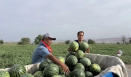 错位吃瓜后续,揭秘娱乐圈背后的惊人真相