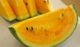 吃瓜黄色瓜最新,探寻网络热词背后的文化现象