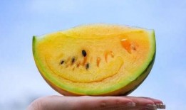 吃瓜就是吃自己的瓜,你吃的其实是自己的瓜