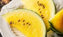 期末前吃瓜,揭秘期末前吃瓜盛况