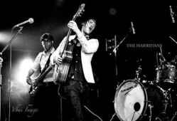 铁桥乐队吃瓜,揭秘娱乐圈幕后真相