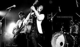 铁桥乐队吃瓜,揭秘娱乐圈幕后真相