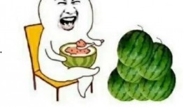 快乐的吃瓜菌,揭秘快乐吃瓜的奥秘