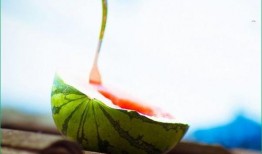 秋天吃兰瓜好吗,兰瓜，秋季养生佳品