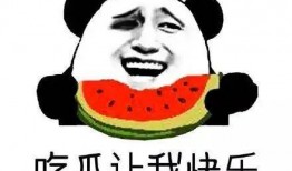 吃瓜群吃瓜群众抖音最新,揭秘网红幕后故事，带你领略吃瓜群众的热情